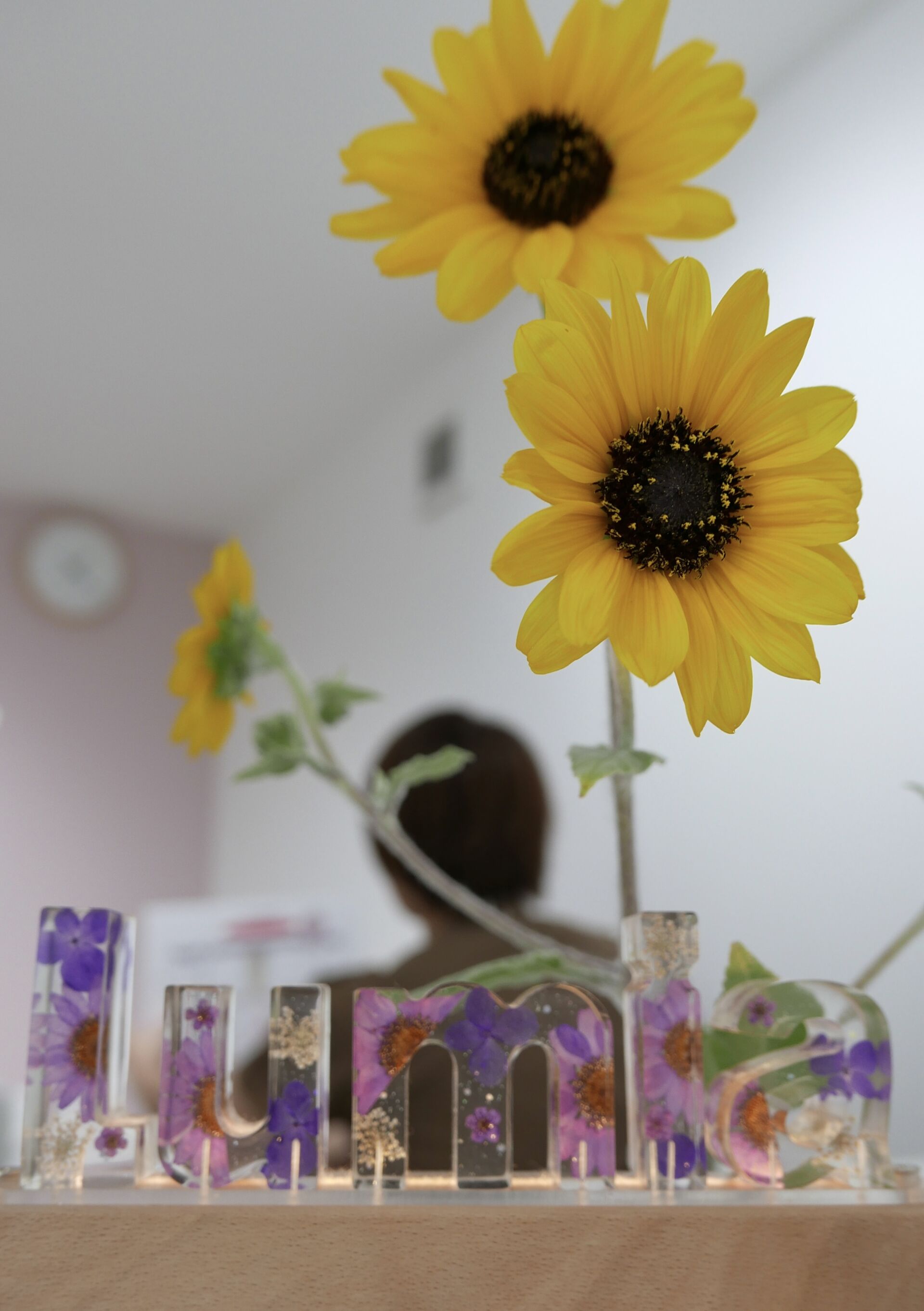 素敵な写真を撮ってもらいました📷️✨️